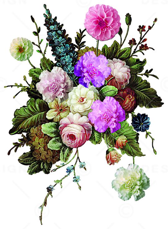 鲜花印花华亿平台图片