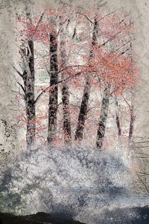 数码华亿平台印花华亿平台图片