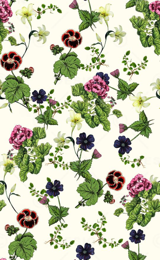 植物印花华亿平台图片